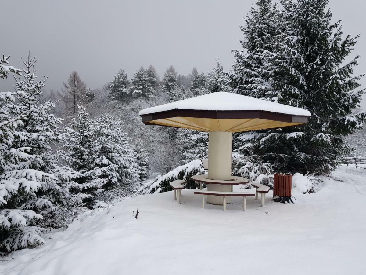 Domki I Pokoje U Ilony Krościenko Extérieur photo